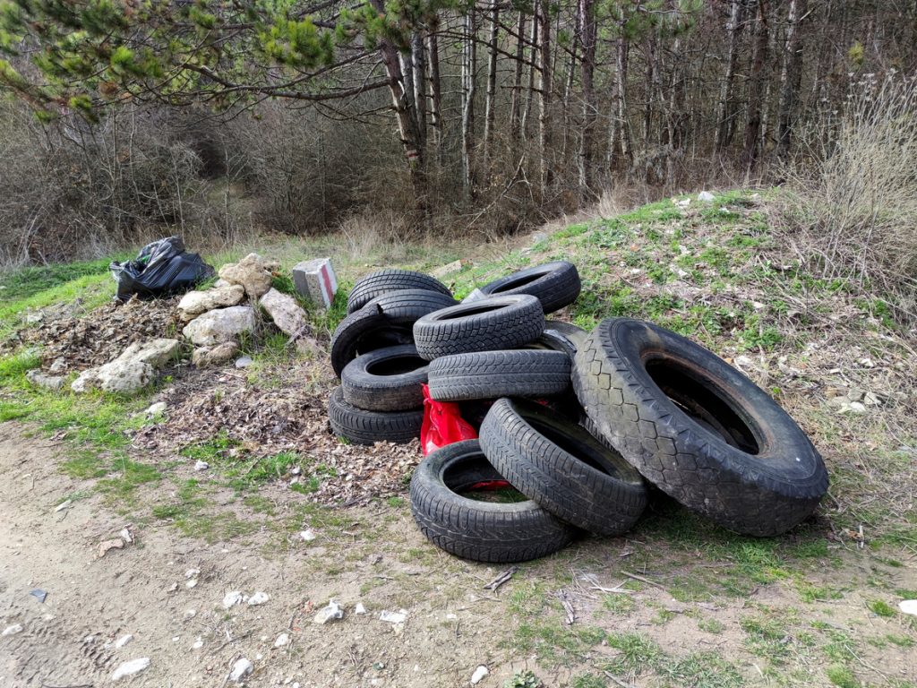 garbage and old car tires in a pine forest